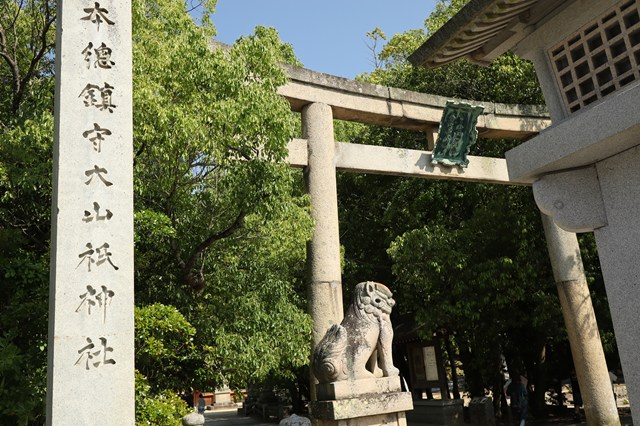 Cover Image of the Post